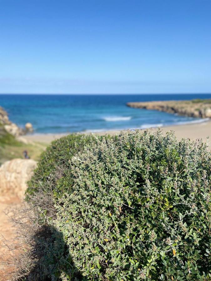 Biddiccia Home In Sicily Noto Buitenkant foto
